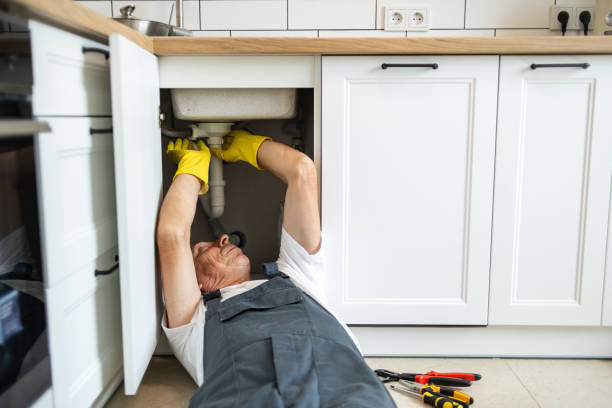 Best Toilet Repair Services  in Canton, MO